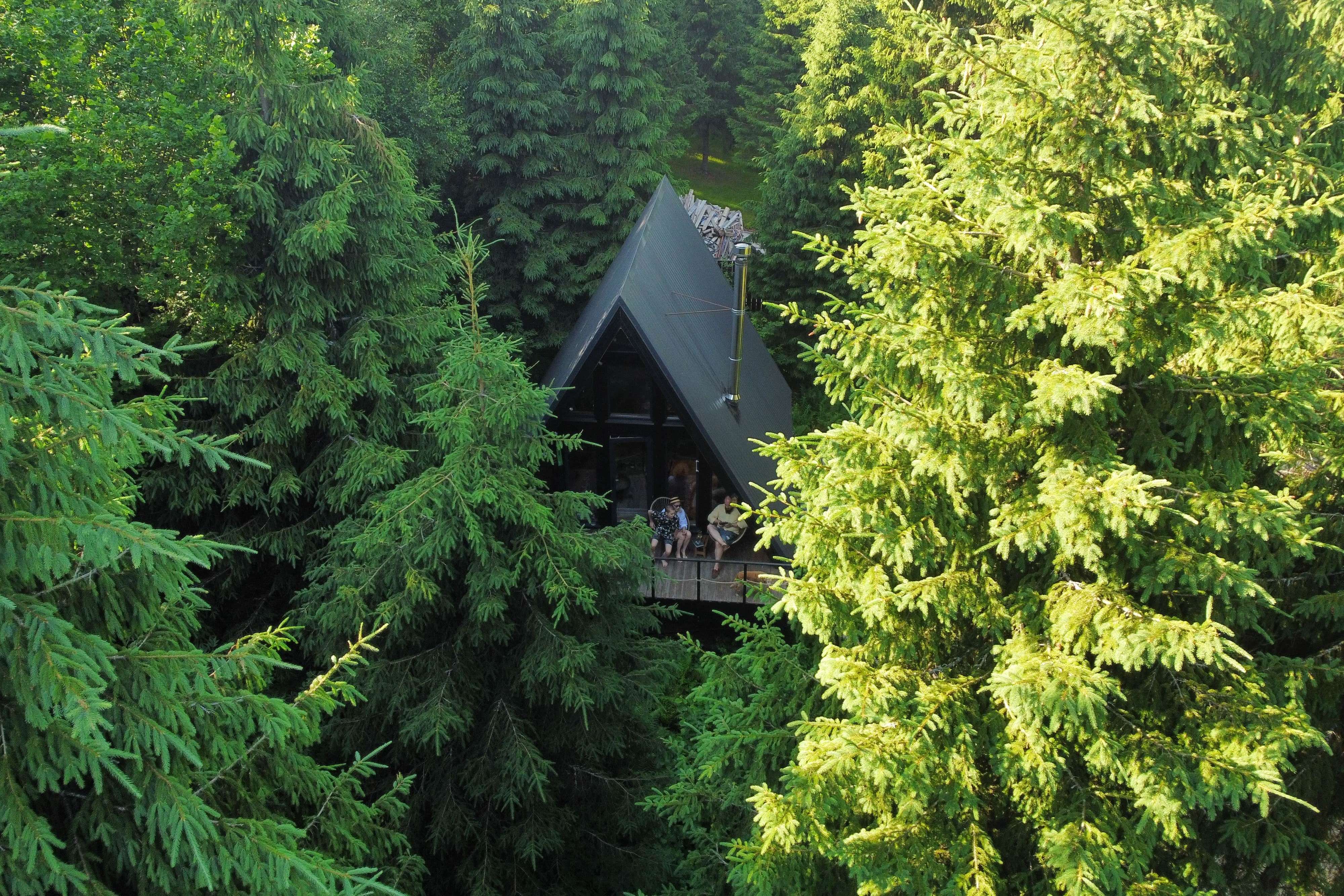 Дом в лесу Nordic A-frame