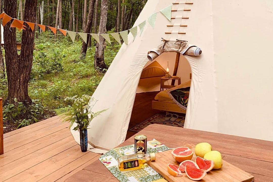 Глэмпинг Forest Camping