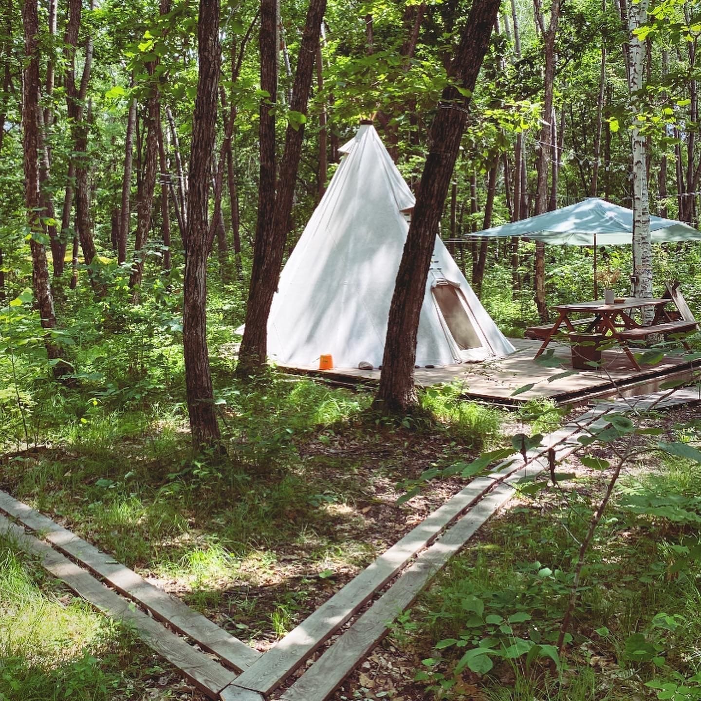 Глэмпинг Forest Camping